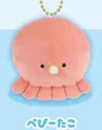 baby octopus