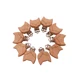 Fox-20pcs