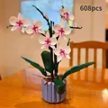 orchid