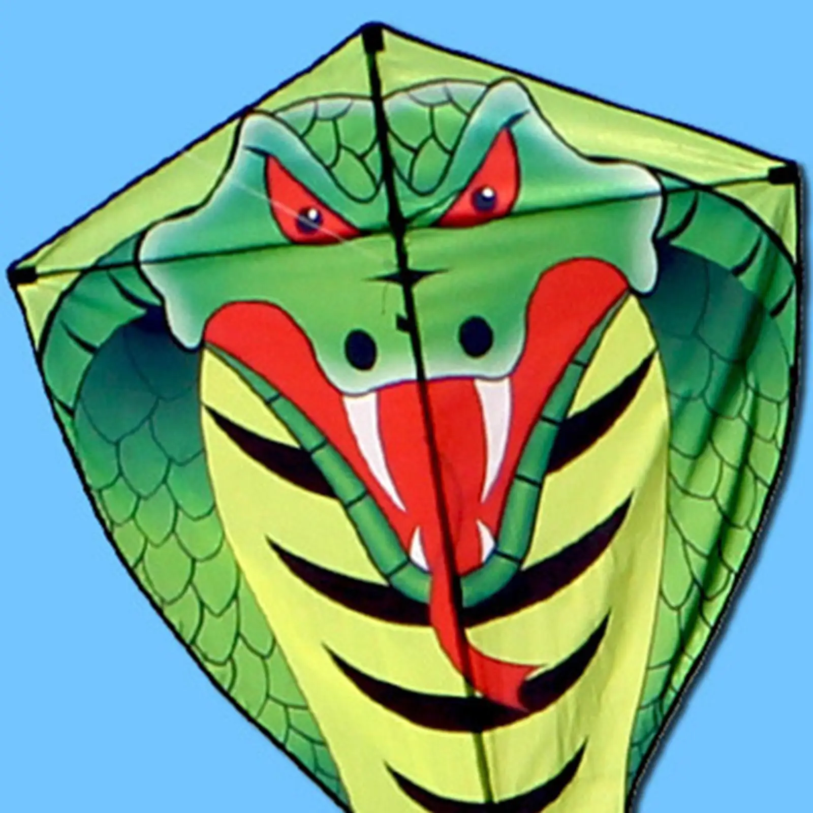 Snake Kite Outdoor Toy with Long Tail for Beginners Sports Kite Snake Kite for