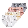 4 Sets Briefs