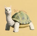 Alpaca turtle