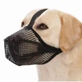 black muzzle