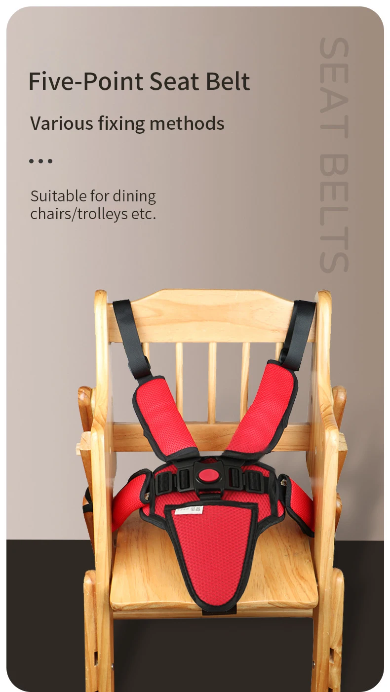 Cinturón seguridad - Vista general