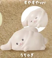 rabbit random