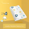 Aviation Dream(6-12)