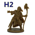 H2