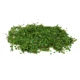 56ml green