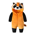 Raccoon