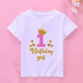 H2546-KSTWH-