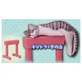 mackerel tabby cat