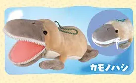 platypus
