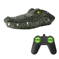 Crocodile Head A