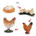 Hen