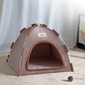 warm chestnut brown
