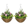 Rosa y Verde