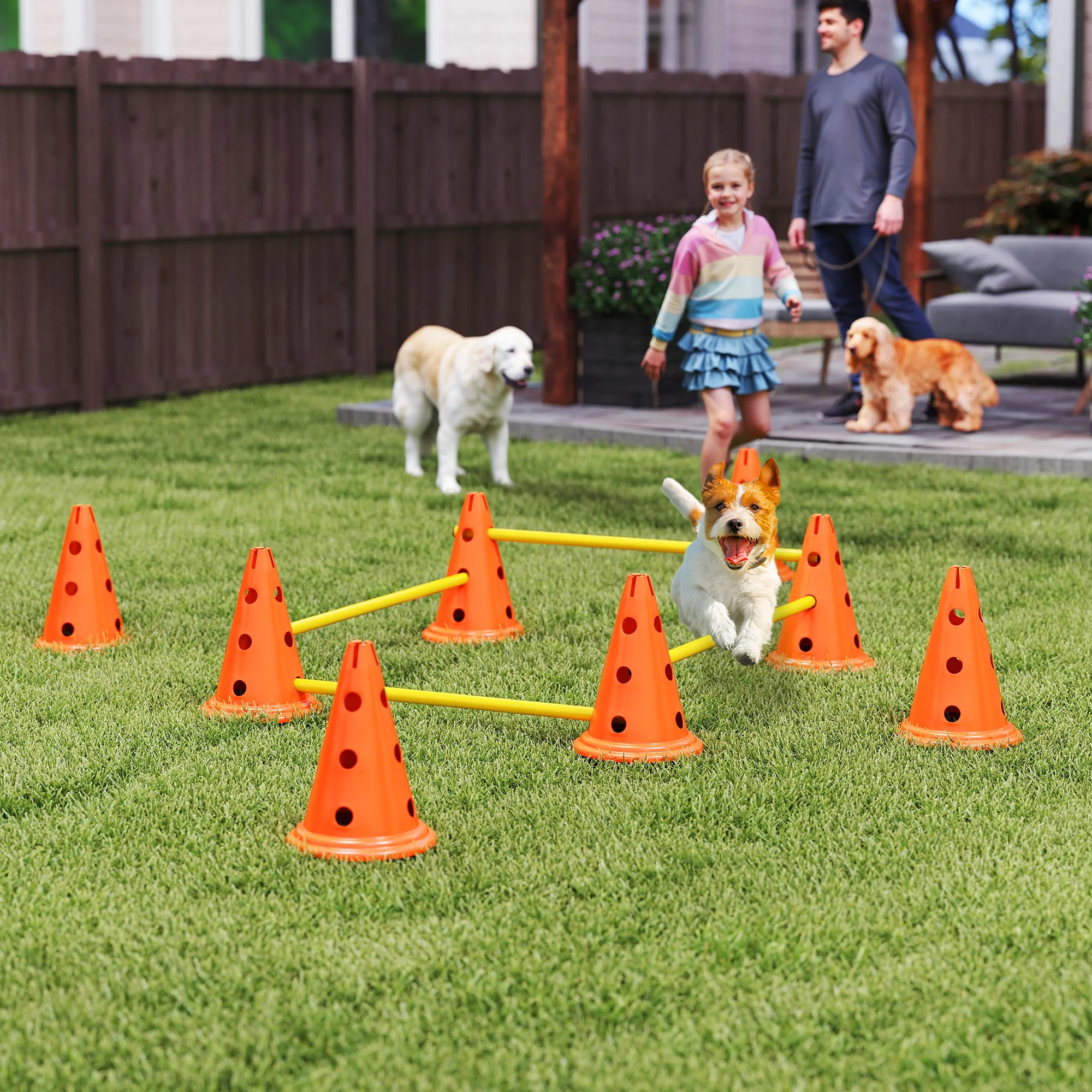 PawHut Juego de Agilidad para Perros, Vallas de Obstáculos de Entrenamiento de Coordinación, 8 Conos 30 cm de Altura, 4 Barras 80 cm de Longitud y Bolsa de Transporte, para Deporte de Fútbol y Perros - imagen 2