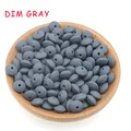 DIM GRAY