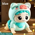 Blue Pig