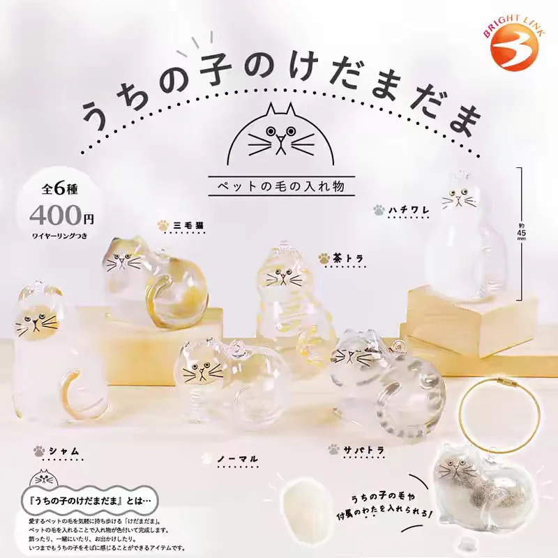 En stock, cápsula de enlace brillante, juguetes kawaii transparente, contenedor de piel de mi mascota, colgante de gato Siamese Tabby Hachi, figuras de colección