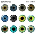 20mm-color random
