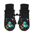 B1-size S(6M-2T)