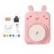 pink rabbit
