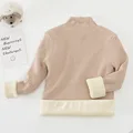 8016-apricot