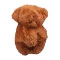brown bear