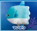 Mola mola