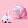 rabbit