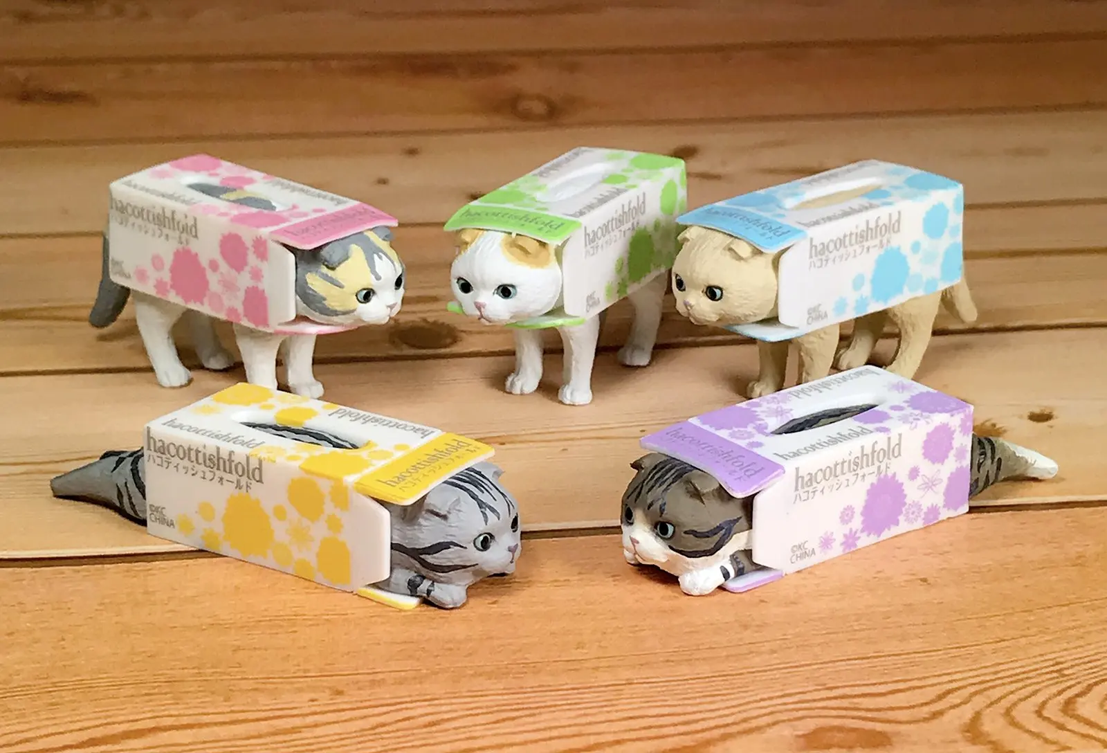 Original capsule toys cute kawaii Hacottishfold 3 Scottish Fold cat in tissue box gashapon figures