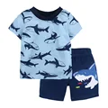 Light blue shark