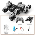 rc dog single 1B