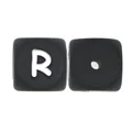 10pcs R