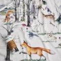 Forest Fairy Tales