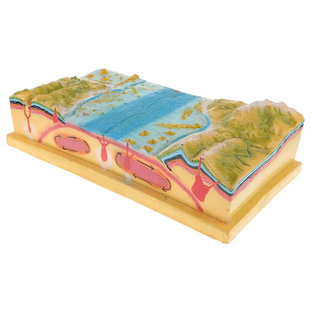Scientific Tectonic Model Platform Kit, Geographic Teaching Material