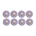 Daisy63