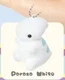 Parasa White