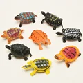 1pcs turtle