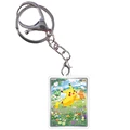 Pokemon 7