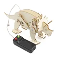 Triceratops