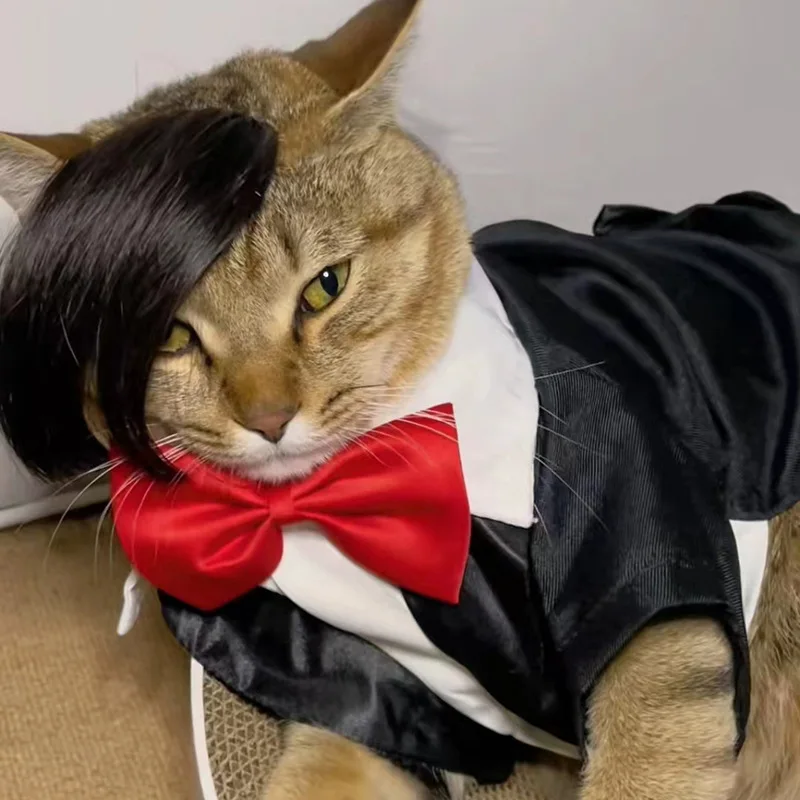 Peluca con flequillo de gato, accesorios de Cosplay para mascotas, disfraces de broma, accesorios de bricolaje, conjunto de cabello de peluquería cruzada, sombrero, accesorios de decoración para fiesta de cachorros - imagen 5