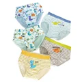 5 pcs Boy Briefs