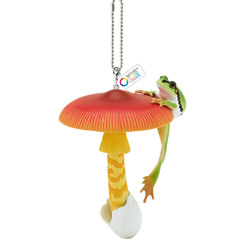 Amanita javanica BC