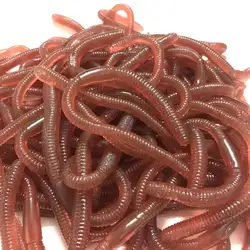Gusanos de pesca con olor – Juguete para niños