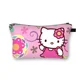 Hello Kitty 30