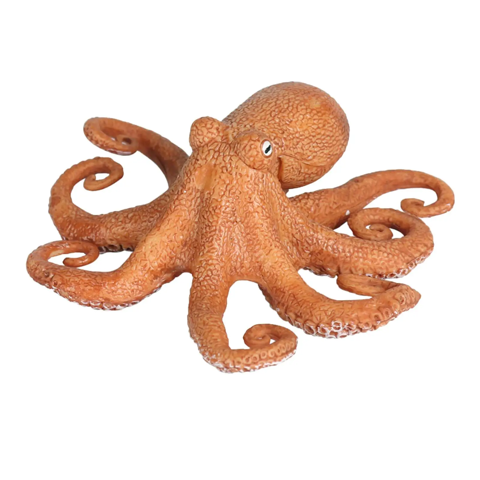 Orange Octopus A
