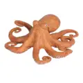 Orange Octopus A