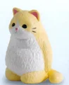 Cream Cat